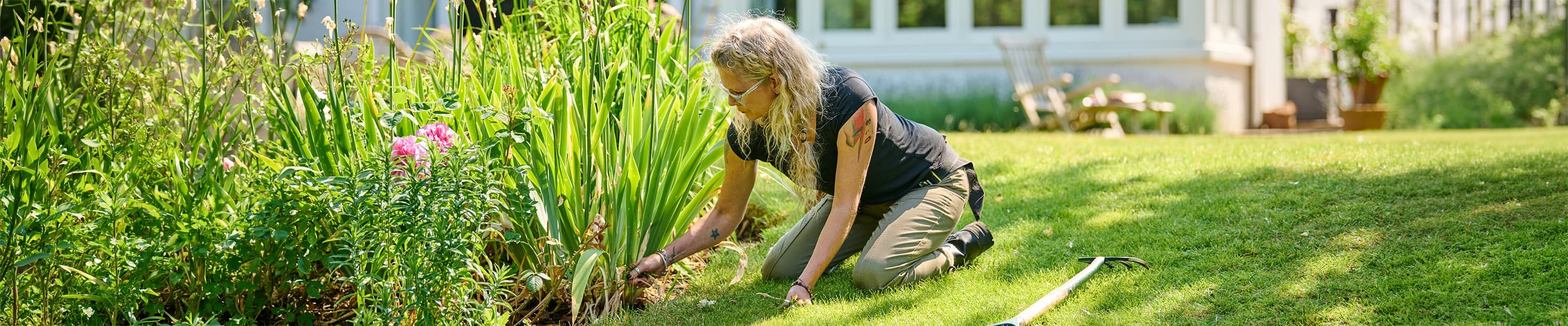 Search for your ideal Gardener