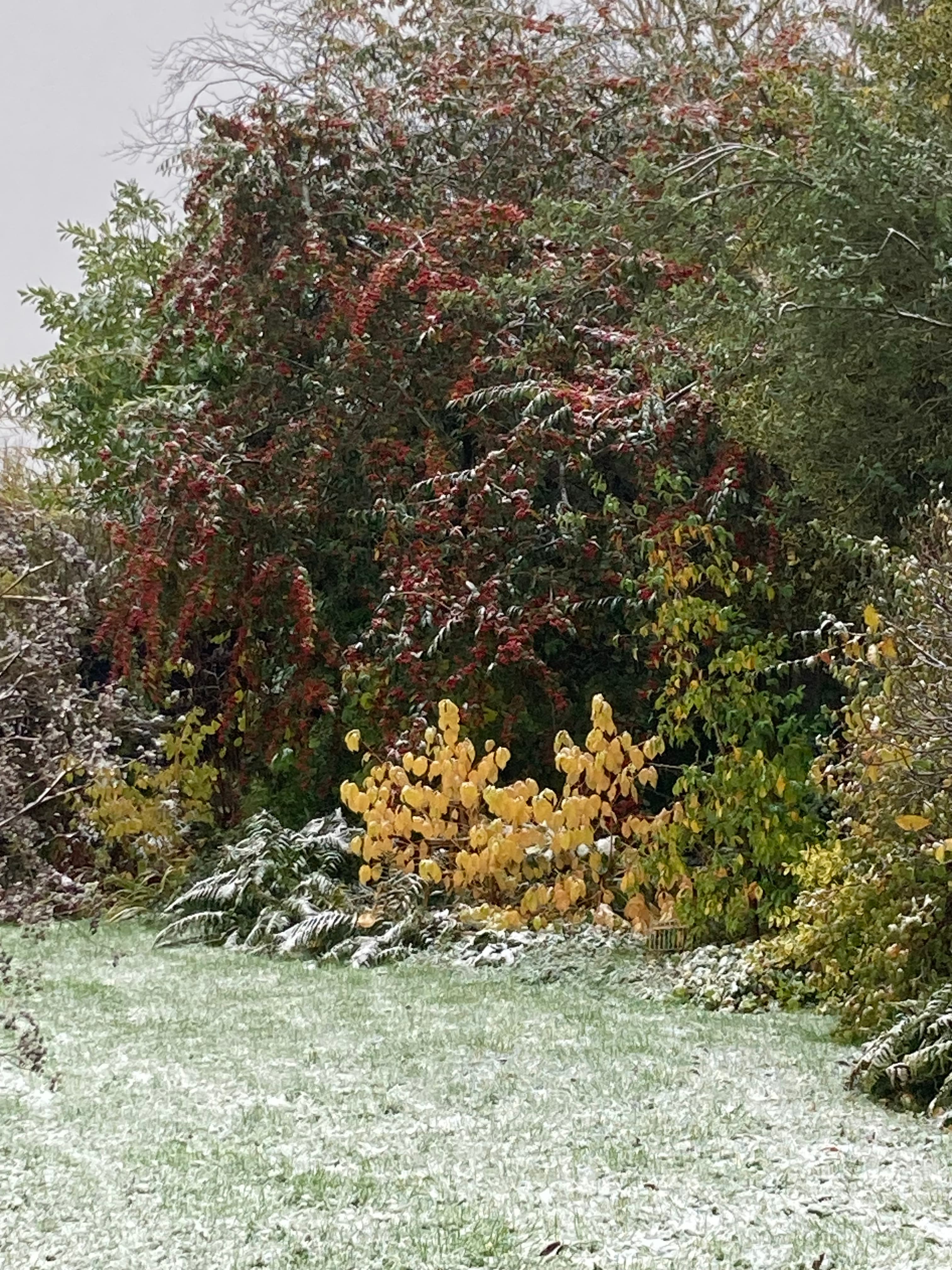 img-3