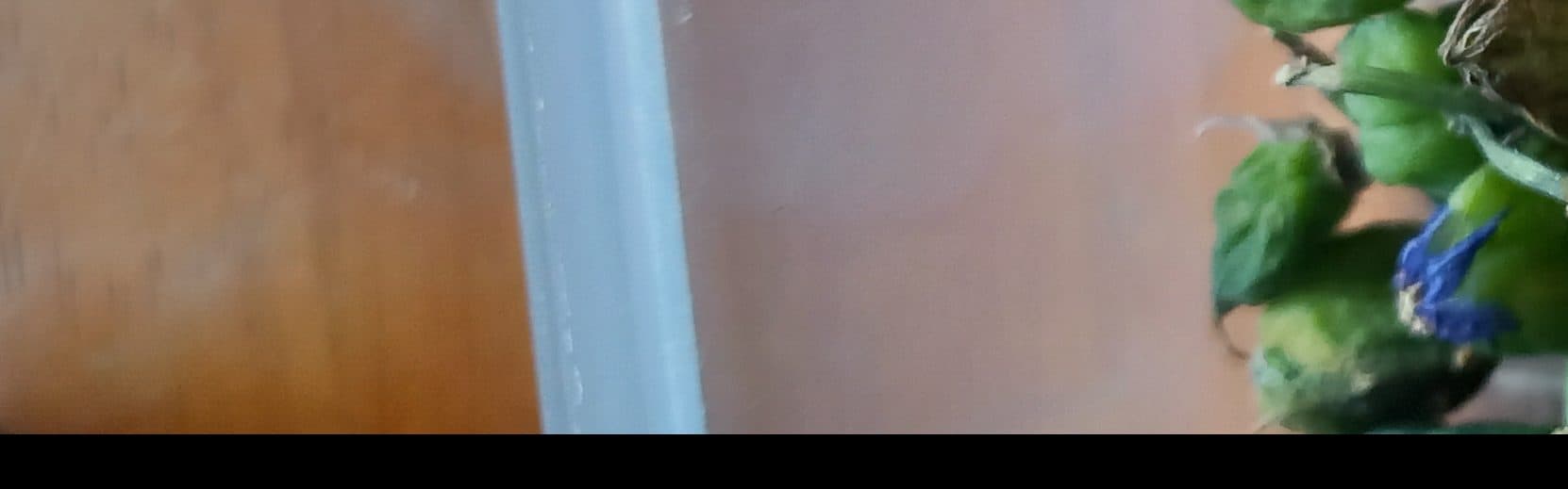 Banner background