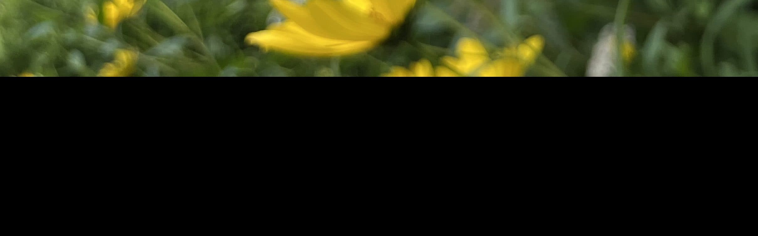 Banner background