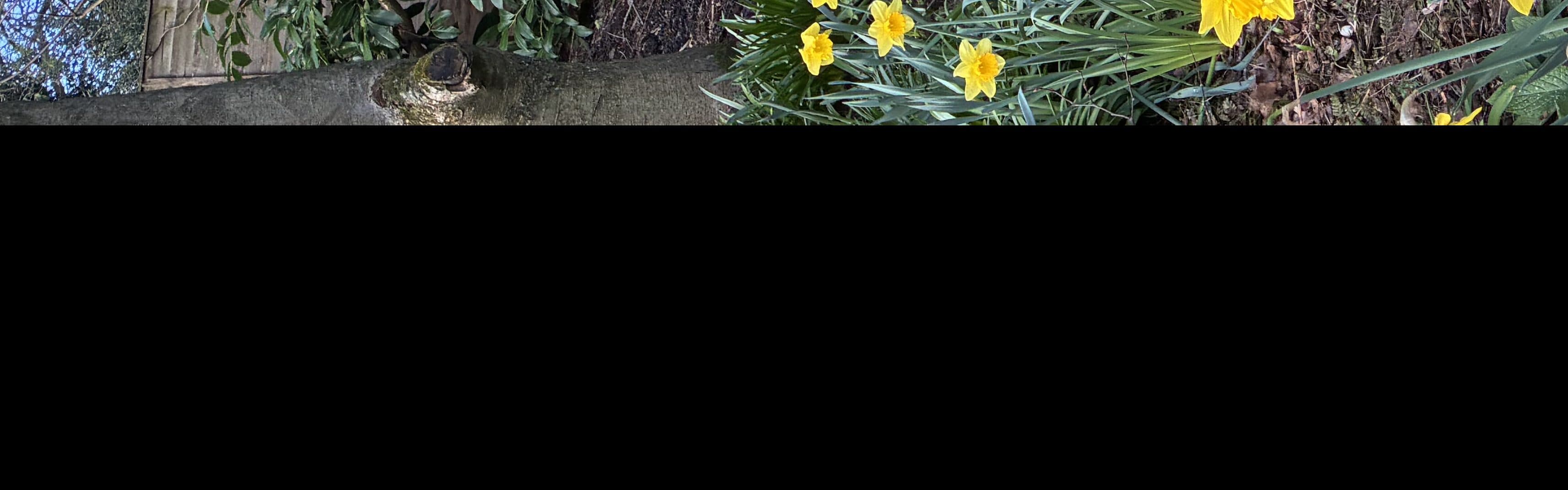 Banner background