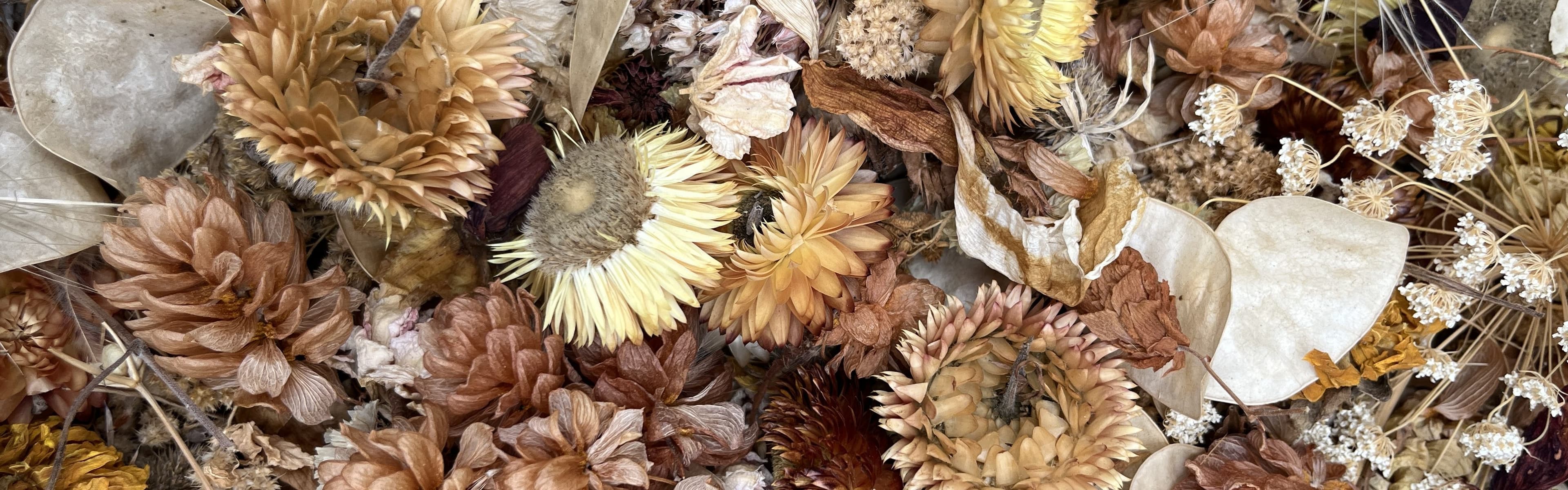 Banner background