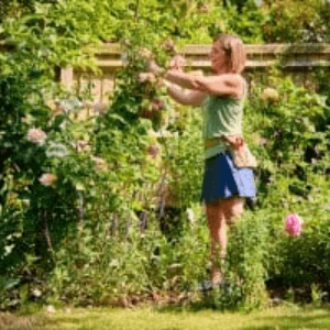 becoming-a-self-employed-gardener-the-basics-bd17