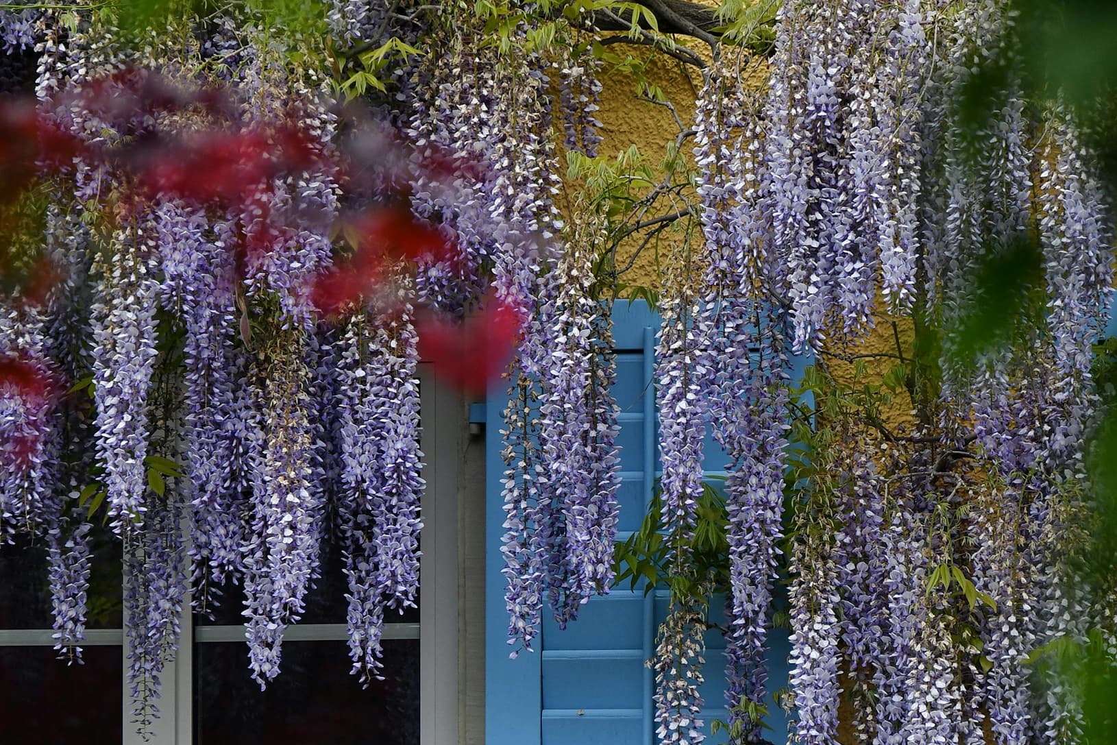 how-to-become-a-weweed-gardener-copy-nmh5