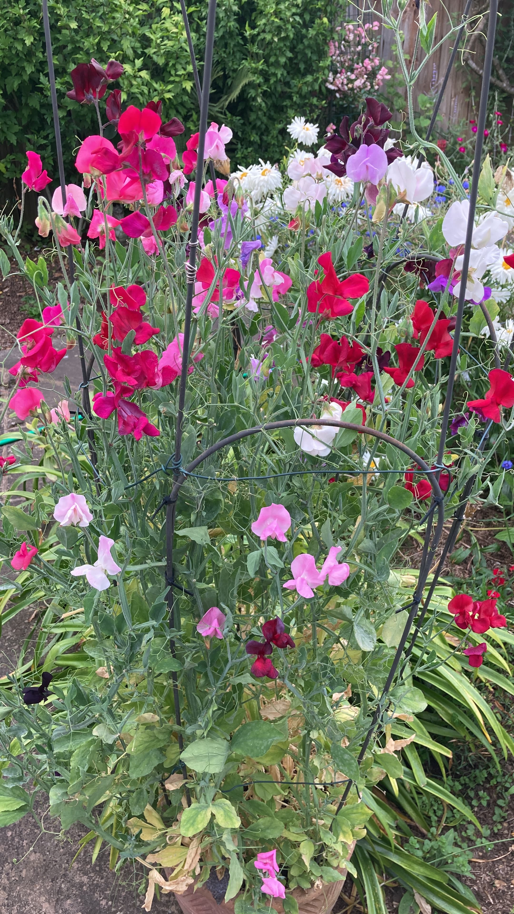 img-0