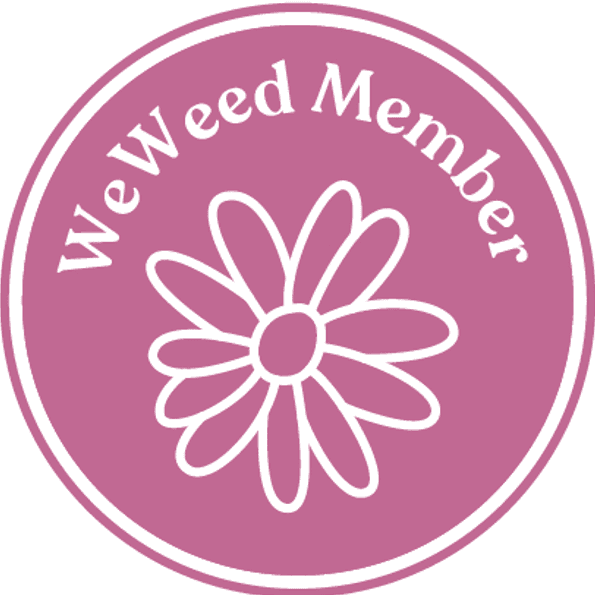 Paid Member