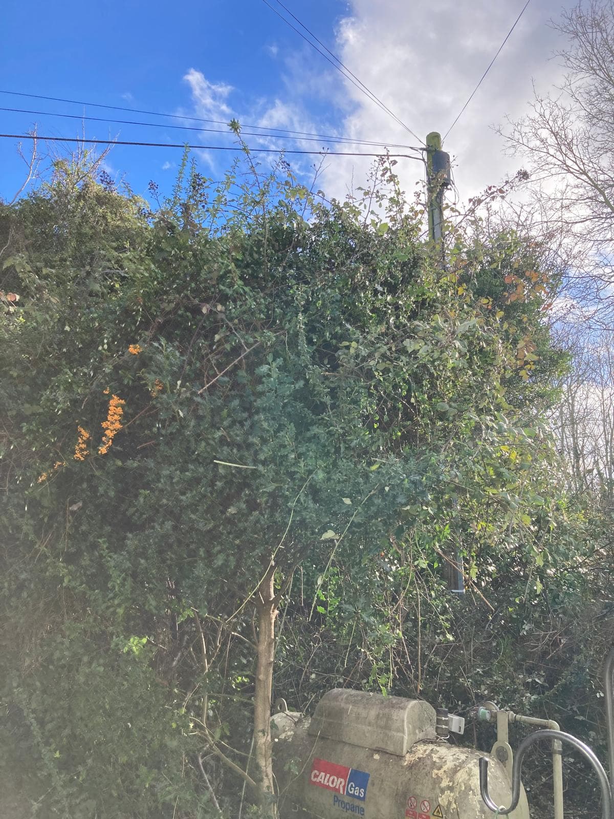 img-3