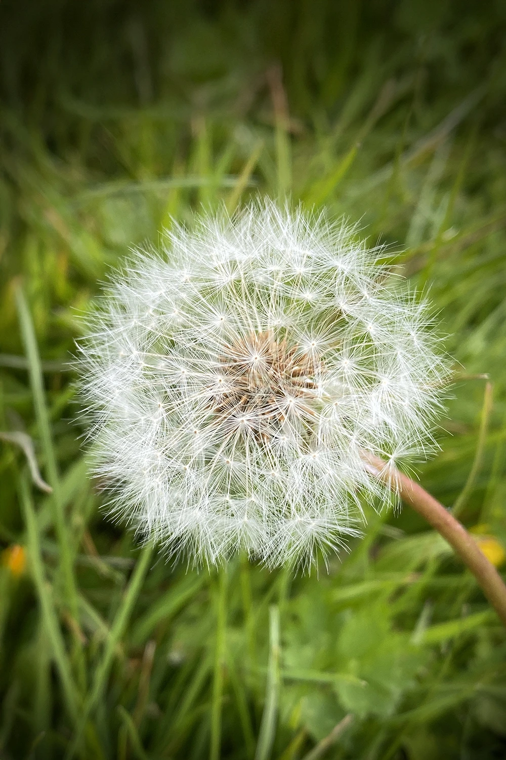 authentication banner