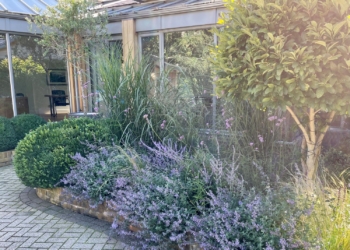 Befores & Afters: Lambridge Wood Rd Garden Two, Henley