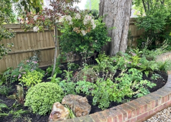 Befores & Afters: Letcombe Regis Rectory