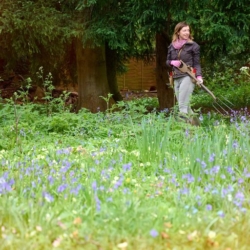 Janet gardening in woodland garden