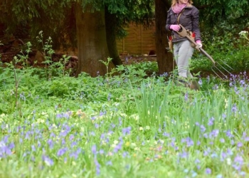 Me weeding my customer’s woodland garden