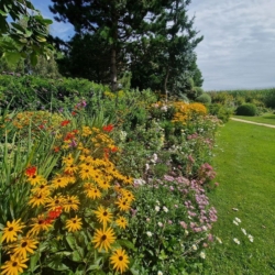 Long border summer after