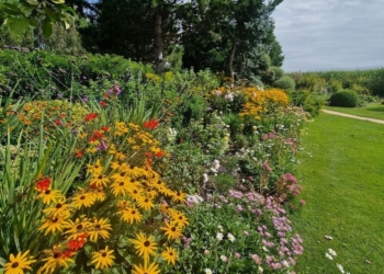 Before and after long border
