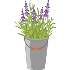 Planter with Lavender WeWeed Garden Keepers