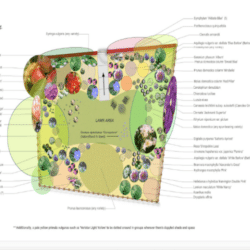 Woodland Orchard Area Pack Prime Lane Henley