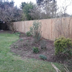 before and after border