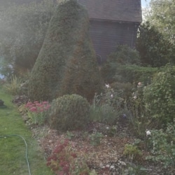 before long border