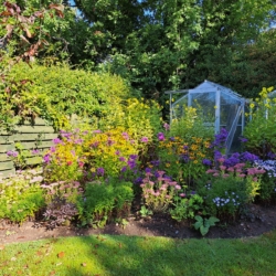 peters garden a year later