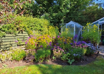 Peters Garden