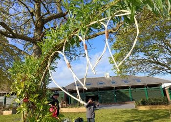 Harrogate Flower Show 2024 – 1st year @ Northumberland college (Kirkley)