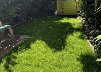 Re-turf woodland garden lawn north London