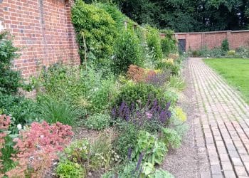 Creating a Beautiful Border
