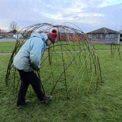 final angled side willow