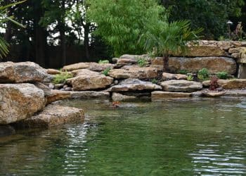 Recreational / Swim Ponds