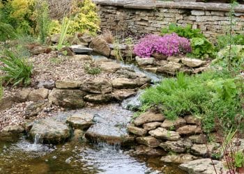 Ecosystem / Wildlife Ponds