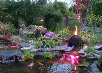 Koi Ponds