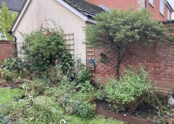 Before and After; one off tidy, full day.