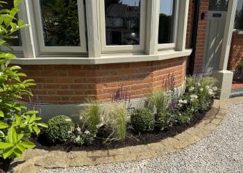 New wave perennial planting design