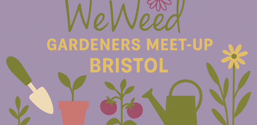 Bristol meet up