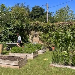 att fOODd aPcMRZPtrZhBsqDXlEQnV i GBjSo