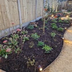 DIY SOS Border planted