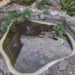 Garden Pond