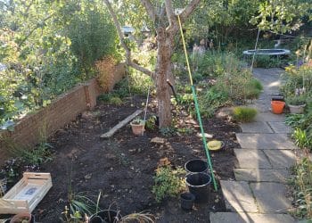 Before and after photos