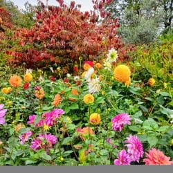 ccca c e f adfdb all