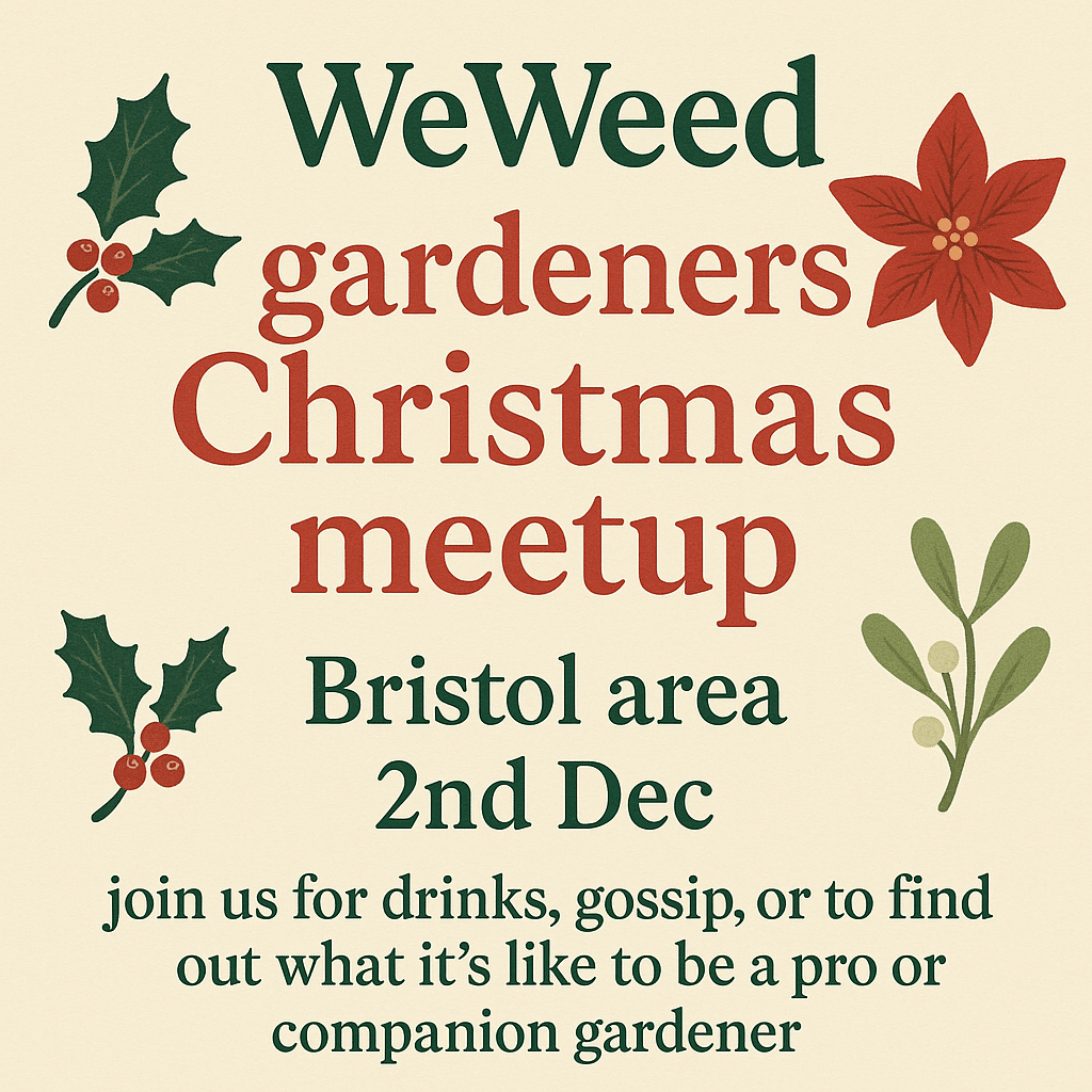 Bristol xmas FB post