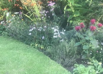 cottage garden style