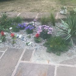 Jenny gravel area recent