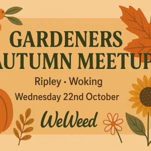 Woking autumn meetup landscape
