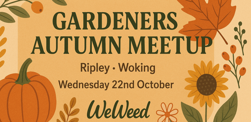 Woking autumn meetup landscape