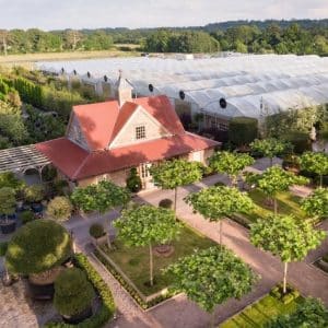 Architectural plants