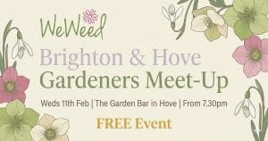 Hove meet up