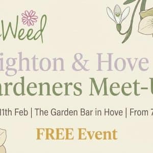 Hove meet up