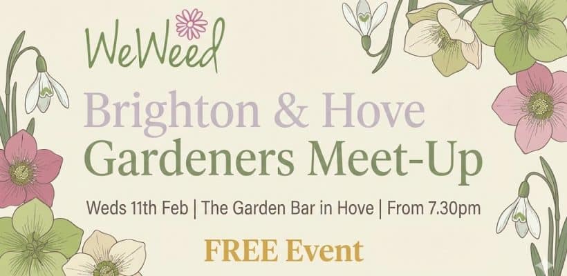 Hove meet up