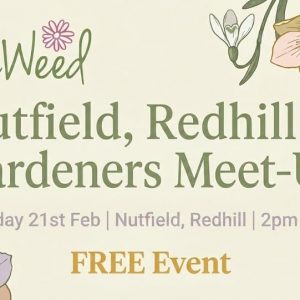 redhill Meet up