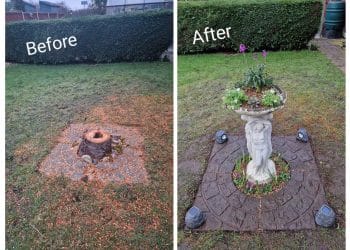 Three Grace’s Planter Design